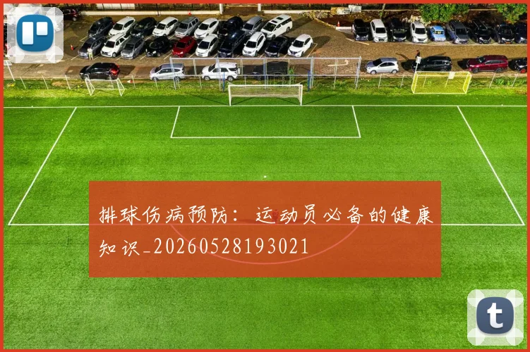 排球伤病预防：运动员必备的健康知识_20260528193021