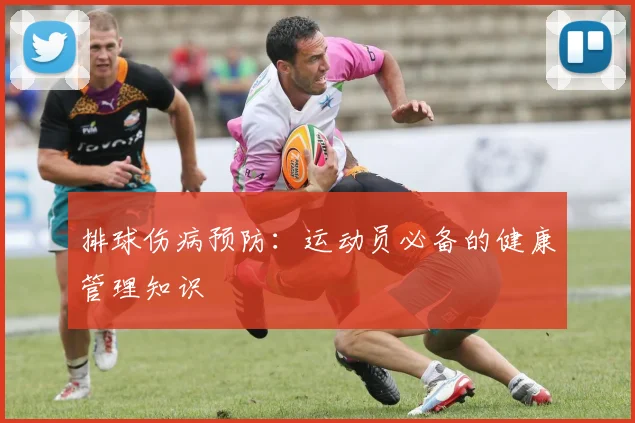 排球伤病预防:运动员必备的健康管理知识
